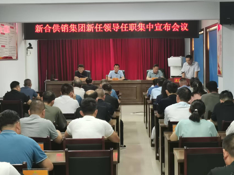 截图-2025年7月14日 16时31分21秒