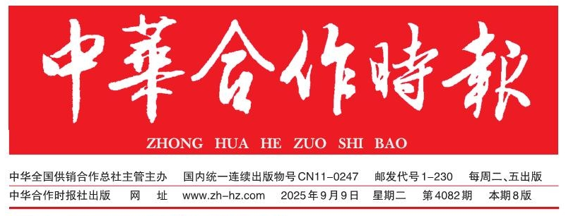 截图-2025年9月11日 15时23分29秒